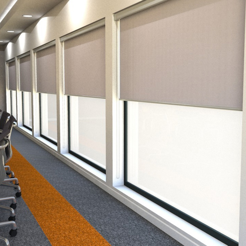 Manual Sunscreen Roller Blinds for Window shade from China manufacturer ...