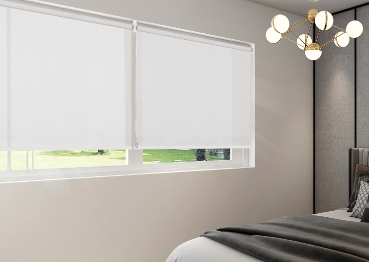 Vinyl Roller Shades from China manufacturer Foshan TaiZhou Home