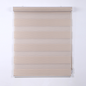Day And Night Zebra Blinds Sheer Shade