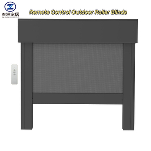 Remote Control Outdoor Roller Blinds